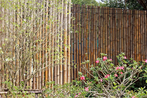 bamboo boundary wall design