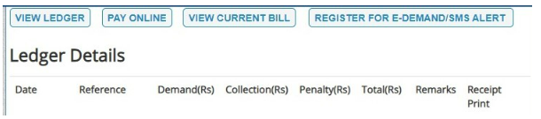 Ledger Details and other options